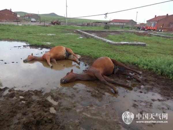 內(nèi)蒙古雷電災害漸重 每年造成上千萬損失